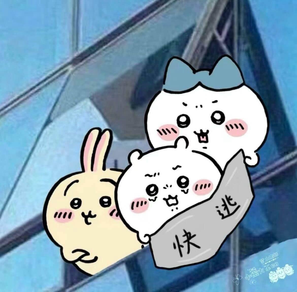 澳洲 IT 找工實錄｜一個普通人的求職歷程